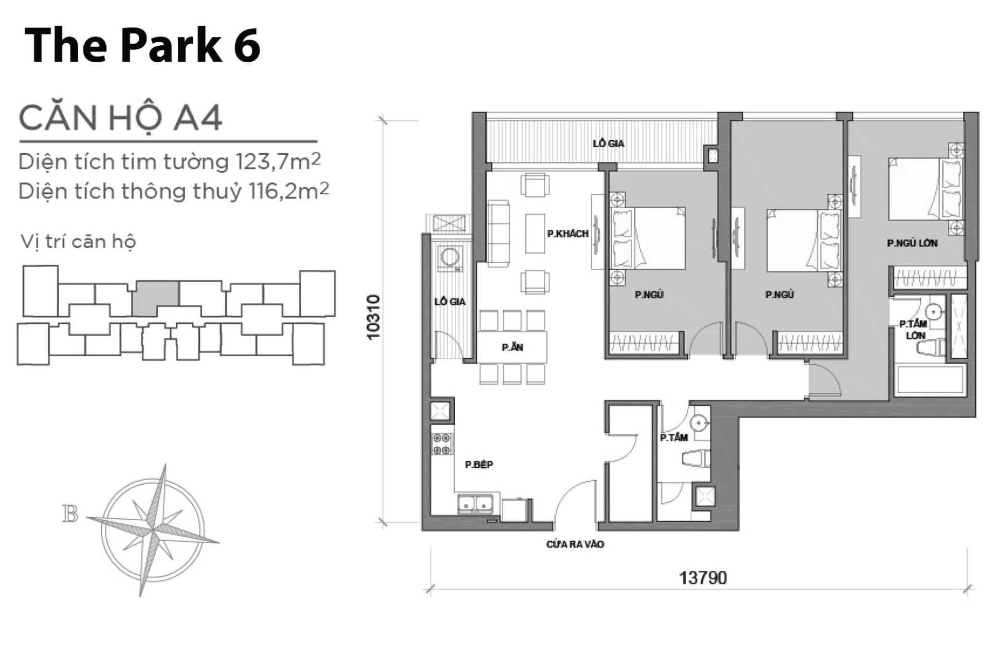 Thông tin Layout P6A-04