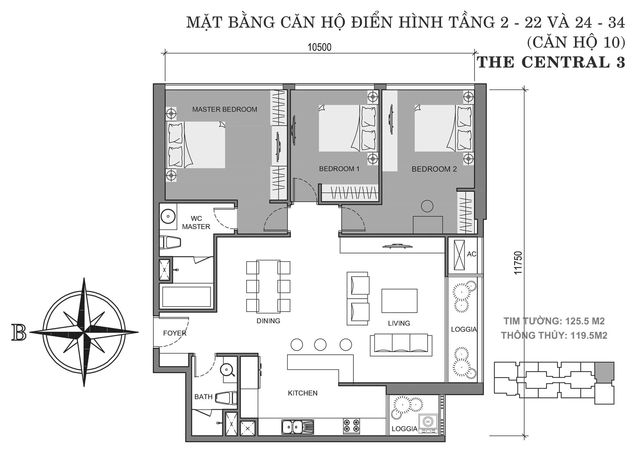 Thông tin Layout C3-10